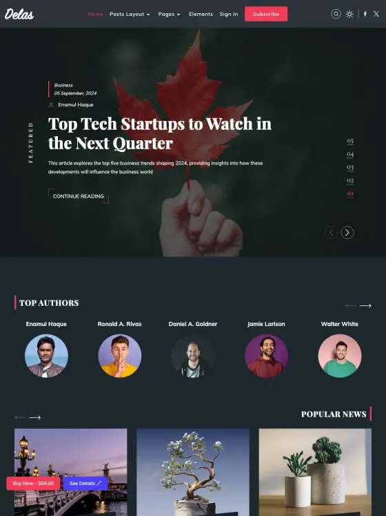 Delas theme preview