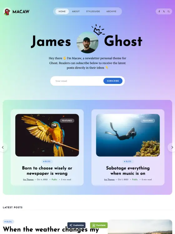 Macaw theme preview