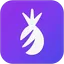 Pina Themes logo