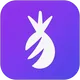 Pina Themes logo
