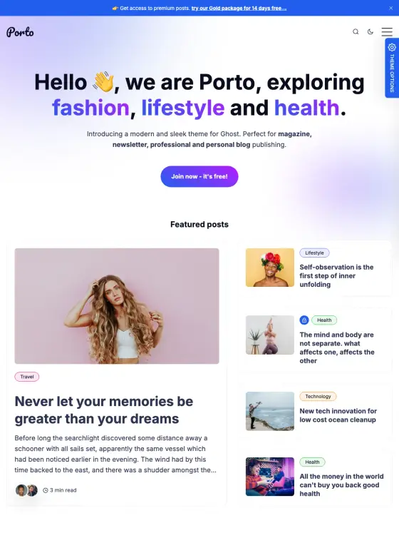 Porto theme preview