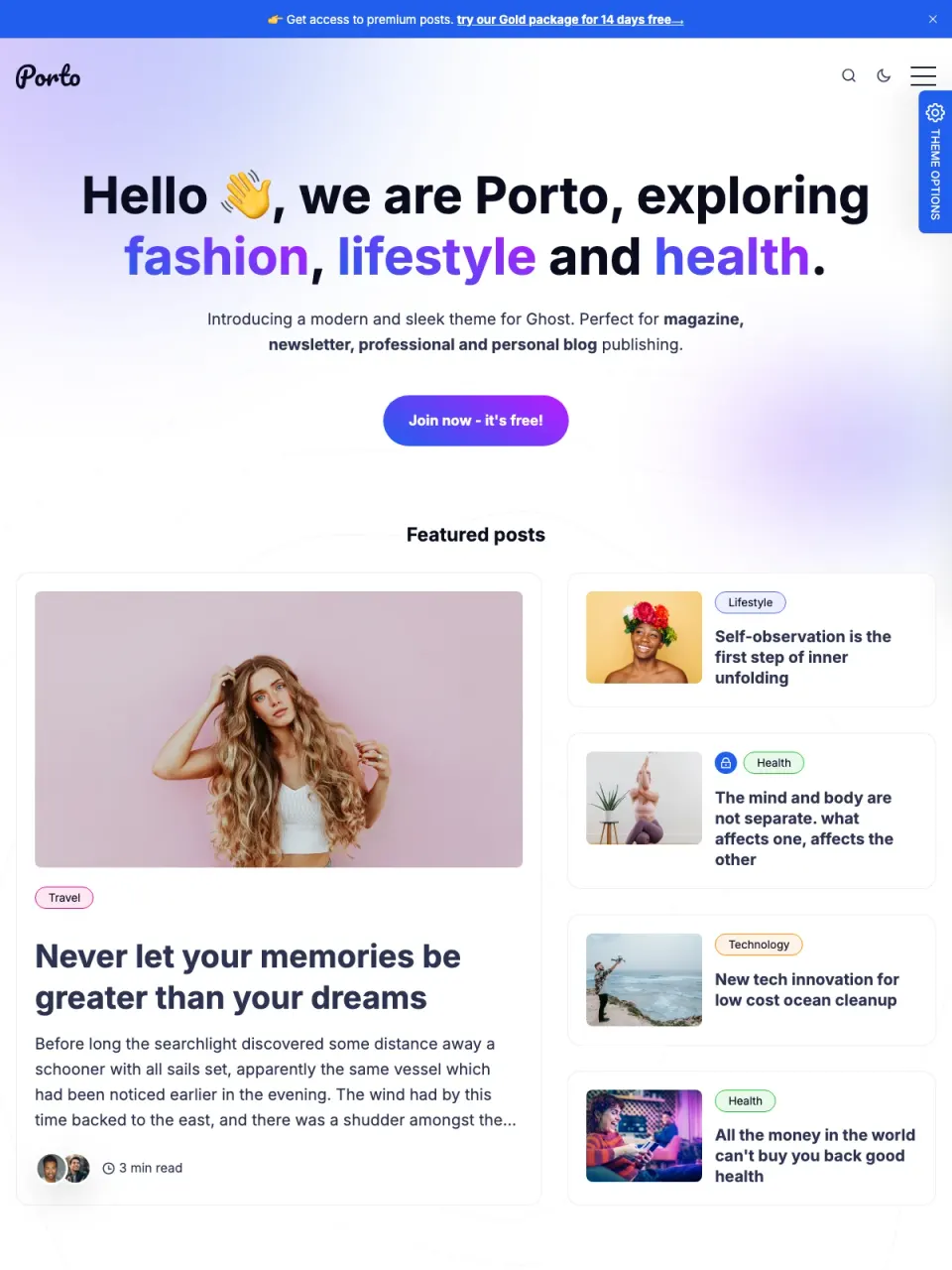 Porto theme preview