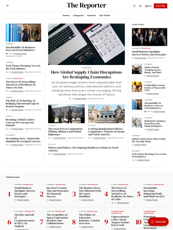 Reporter theme preview